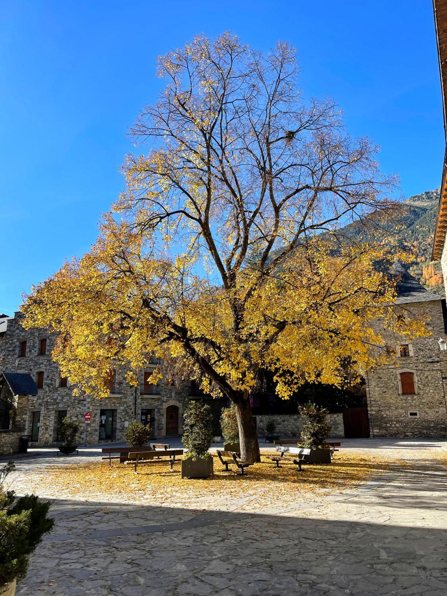 Apartamento Familiar En El Centro De Benasque Con Terraza Экстерьер фото